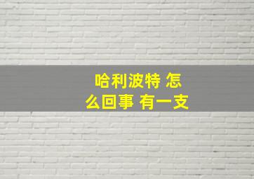 哈利波特 怎么回事 有一支